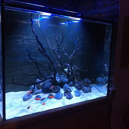 Aquarium House Sesimbra Exterior foto